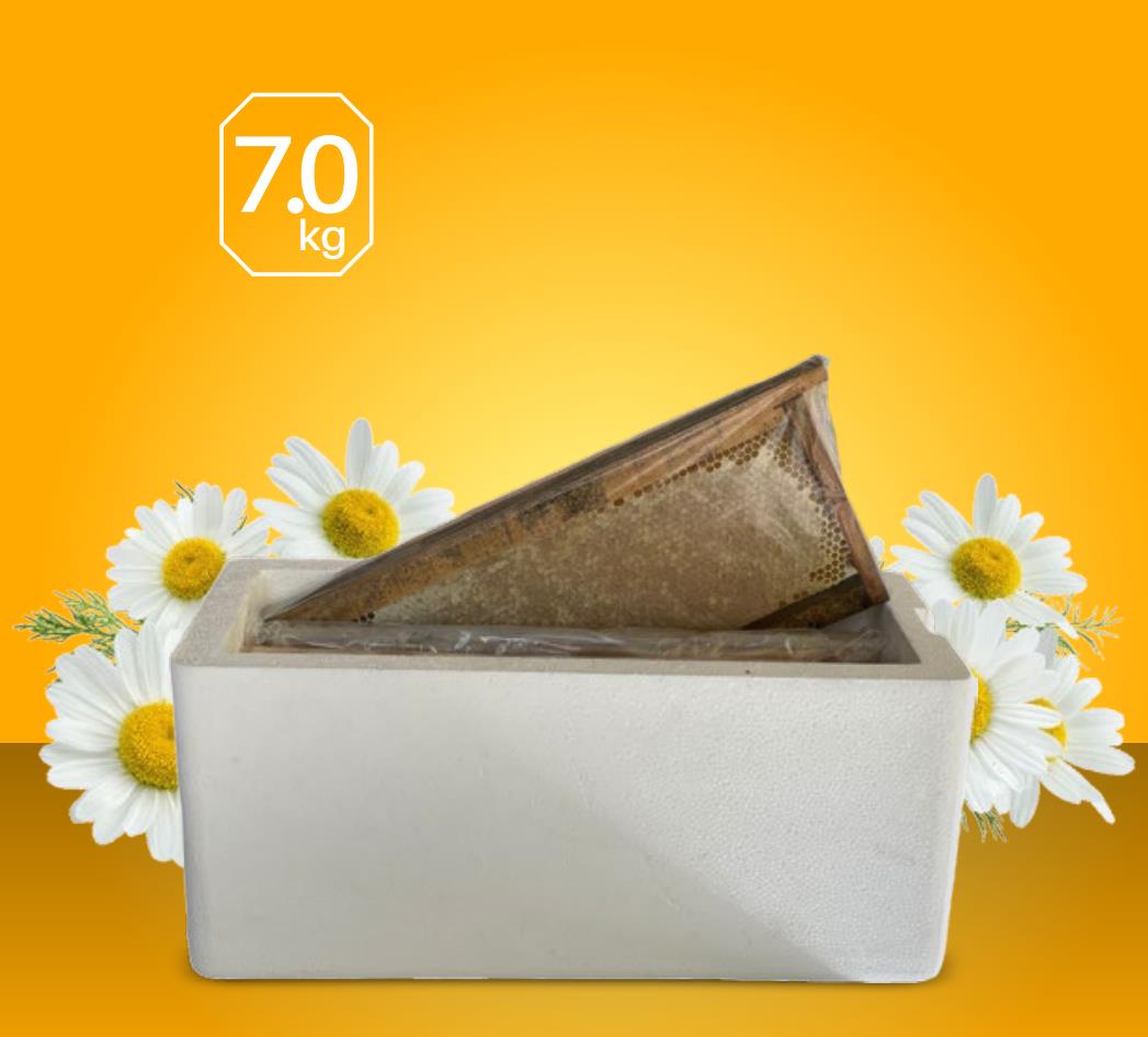 Bulk Mehrnoosh Comb Honey (Styrofoam Box)